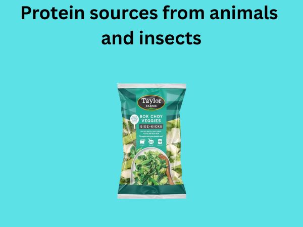 Protein sources from animals and insects