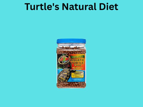 Turtle's Natural Diet