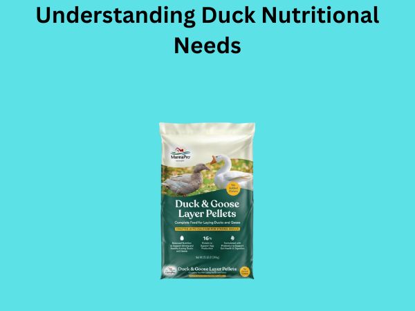 Understanding Duck Nutritional Needs