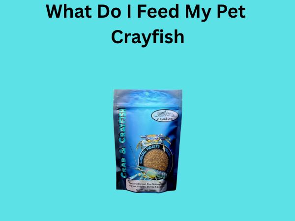 What Do I Feed My Pet Crayfish