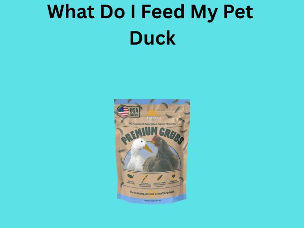 What Do I Feed My Pet Duck