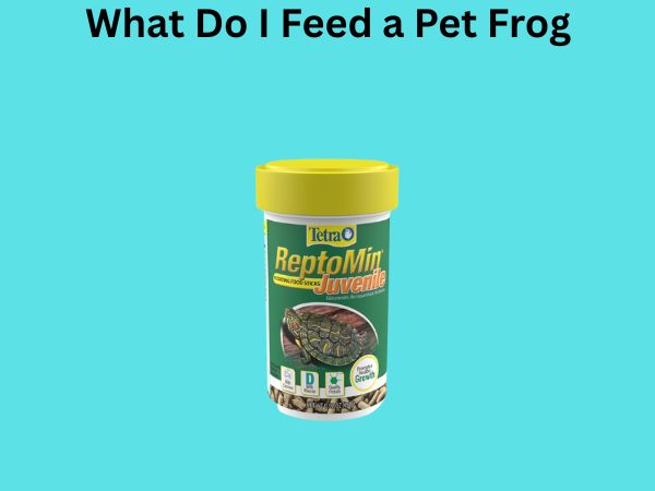 What Do I Feed a Pet Frog? Simple & Safe Feeding Guide