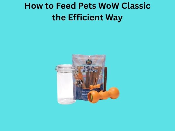 How to Feed Pets WoW Classic the Efficient Way
