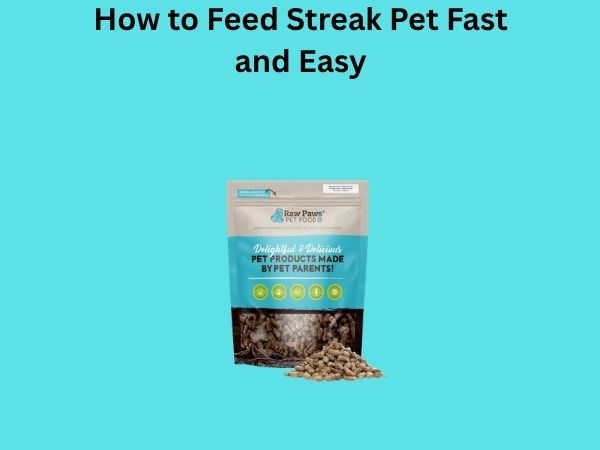 How to Feed Streak Pet Fast and Easy