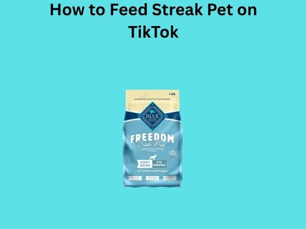 How to Feed Streak Pet on TikTok