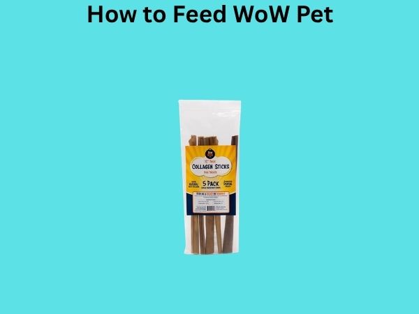 How to Feed WoW Pet