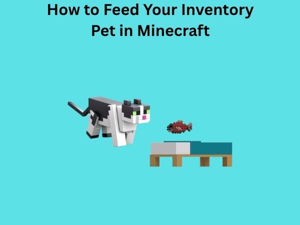 How to Feed Your Inventory Pet in Minecraft