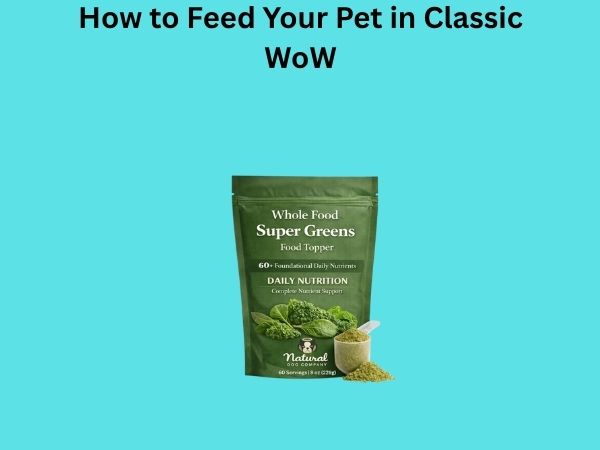 How to Feed Your Pet in Classic WoW