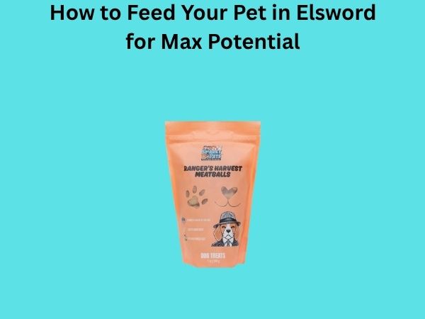 How to Feed Your Pet in Elsword for Max Potential