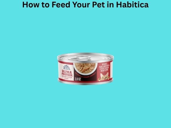 How to Feed Your Pet in Habitica