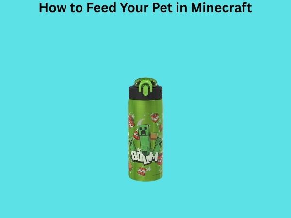 How to Feed Your Pet in Minecraft