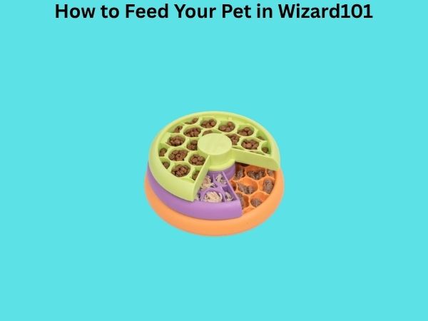 How to Feed Your Pet in Wizard101