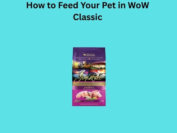 How to Feed Your Pet in WoW Classic