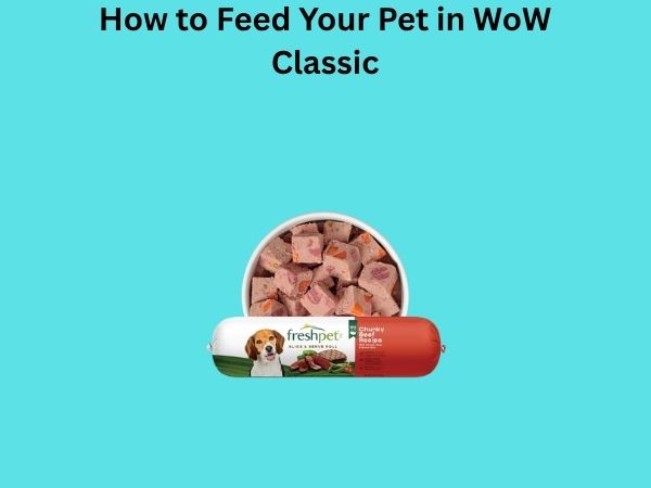 How to Feed Your Pet in WoW Classic