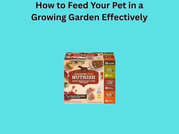 How to Feed Your Pet in a Growing Garden Effectively