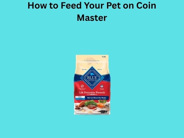 How to Feed Your Pet on Coin Master