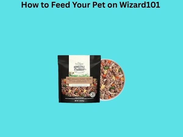 How to Feed Your Pet on Wizard101