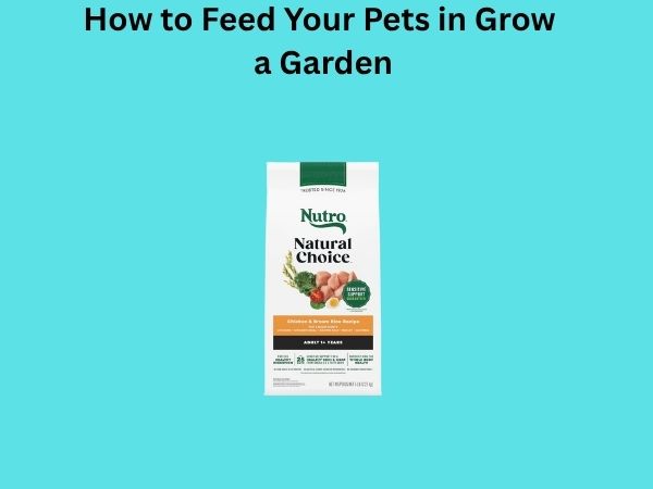How to Feed Your Pets in Grow a Garden