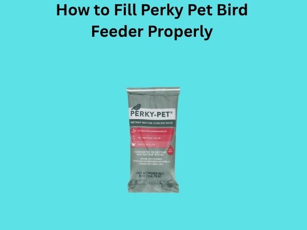 How to Fill Perky Pet Bird Feeder Properly