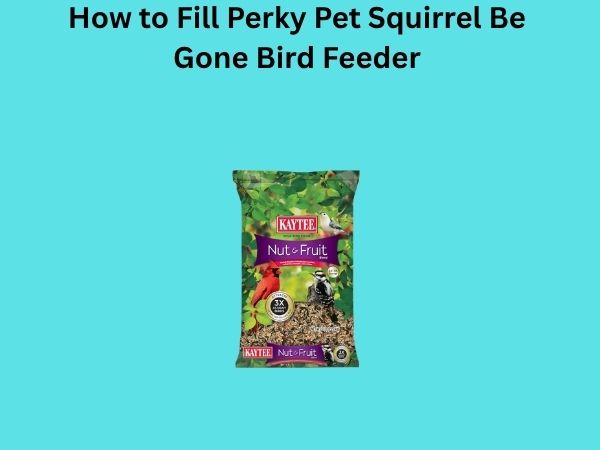 How to Fill Perky Pet Squirrel Be Gone Bird Feeder