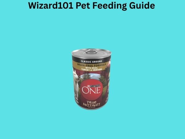 Wizard101 Pet Feeding Guide