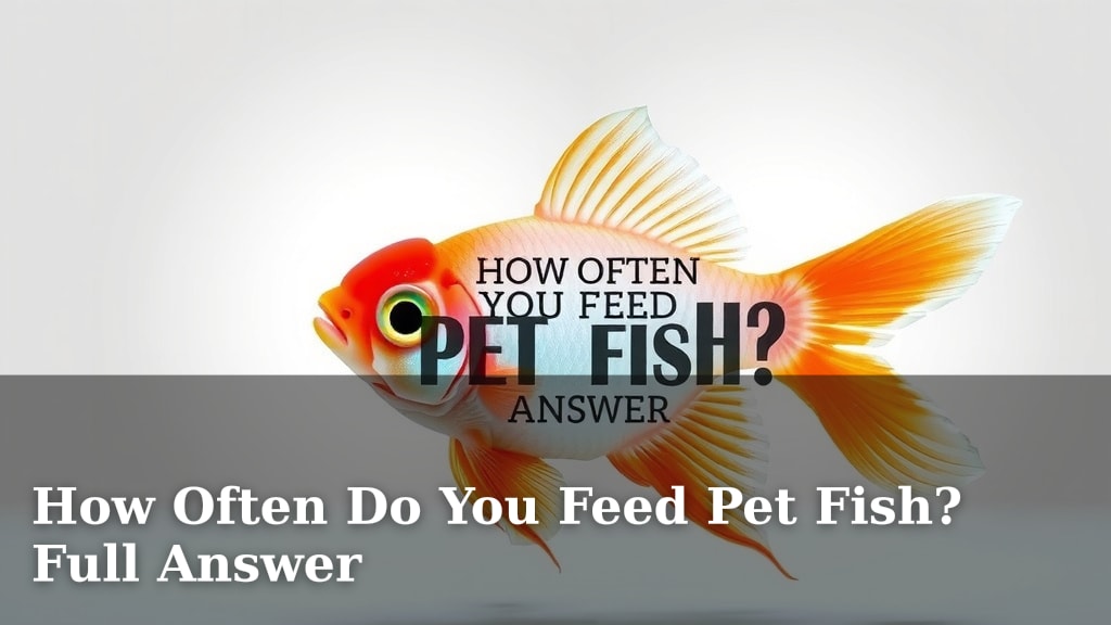 How Often Do You Feed Pet Fish? Full Answer