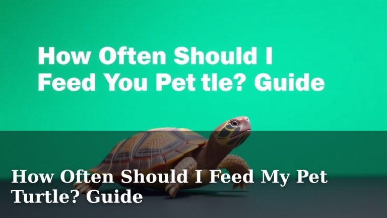 How Often Should I Feed My Pet Turtle? Guide
