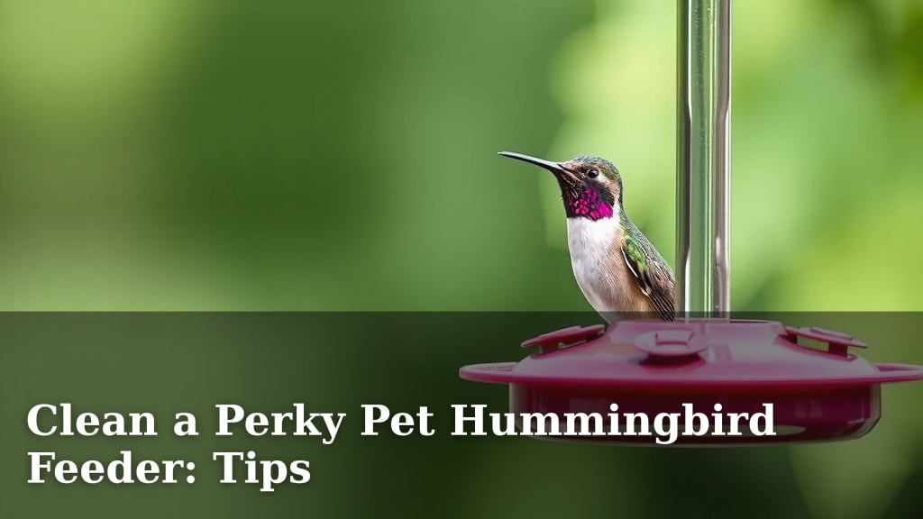 Clean a Perky Pet Hummingbird Feeder: Tips