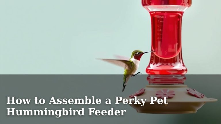How to Assemble a Perky Pet Hummingbird Feeder