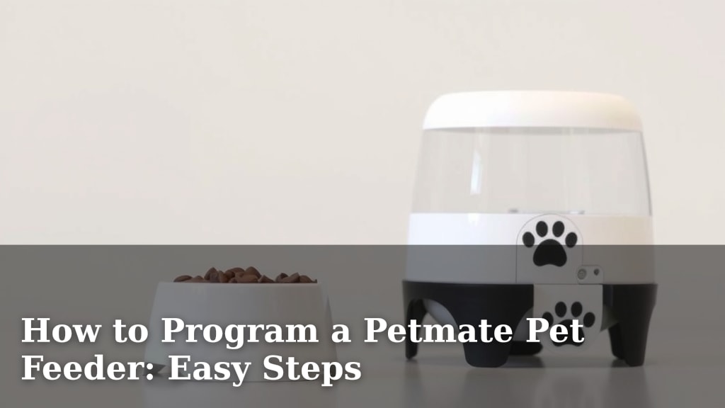 How to Program a Petmate Pet Feeder: Easy Steps