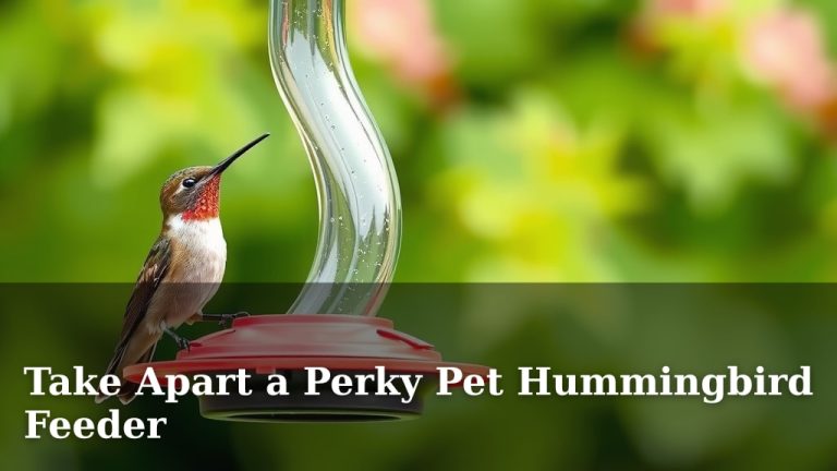 Take Apart a Perky Pet Hummingbird Feeder