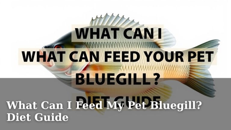 What Can I Feed My Pet Bluegill? Diet Guide