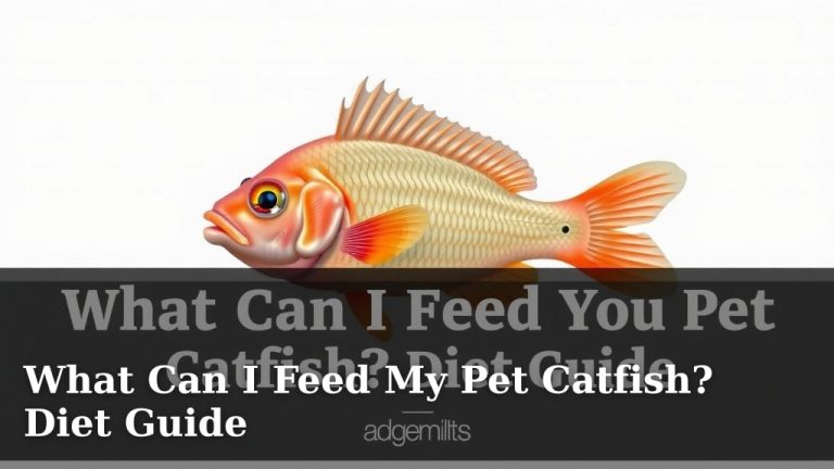 What Can I Feed My Pet Catfish? Diet Guide