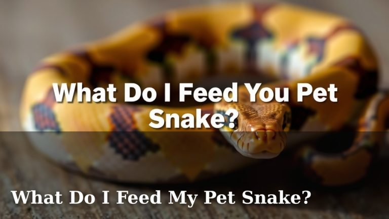 What Do I Feed My Pet Snake?