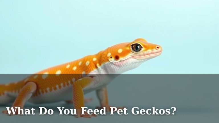 What Do You Feed Pet Geckos?