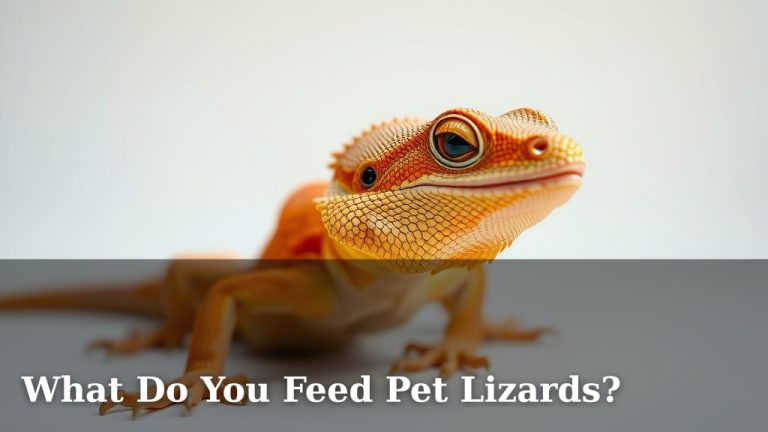 What Do You Feed Pet Lizards?